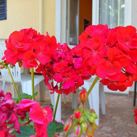 Apartment Girasole Rovinj Luaran gambar