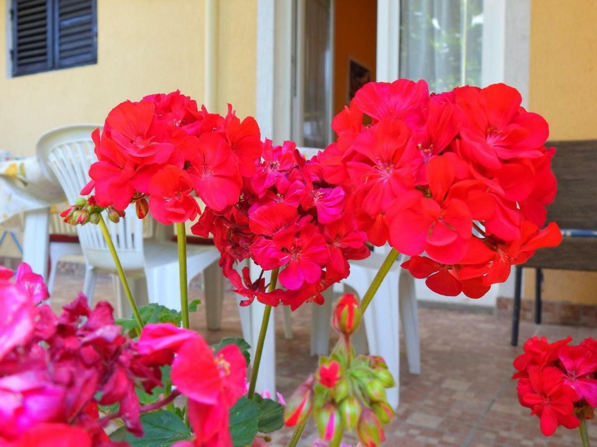 Apartment Girasole Rovinj Luaran gambar